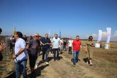 Mini IMG 7184